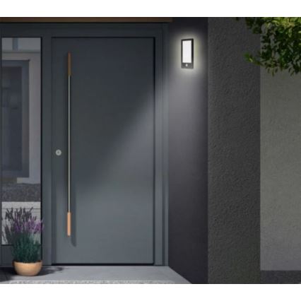 Telefunken 313905TF - Iluminação de parede exterior LED com sensor LED/16W/230V IP44