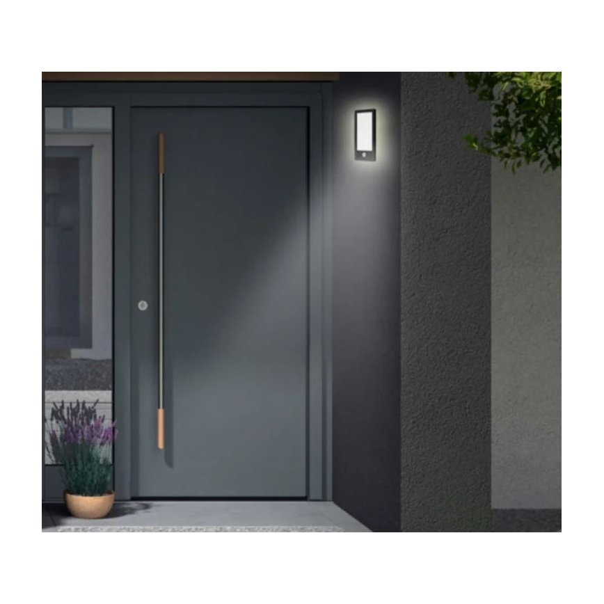 Telefunken 313905TF - Iluminação de parede exterior LED com sensor LED/16W/230V IP44