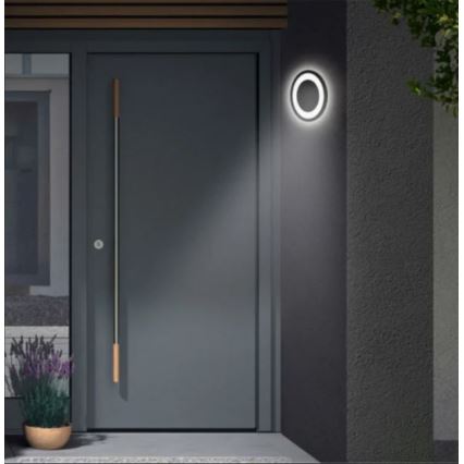 Telefunken 315805TF - Iluminação de parede exterior LED LED/15W/230V IP44