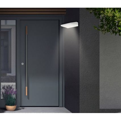 Telefunken - LED Aplique de parede exterior LED/10W/230V IP44 branco