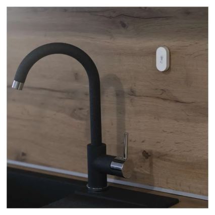 Termómetro digital sem fios GoSmart 1×CR2032