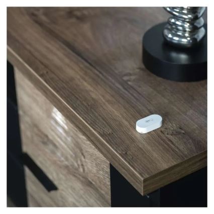 Termómetro digital sem fios GoSmart 1×CR2032