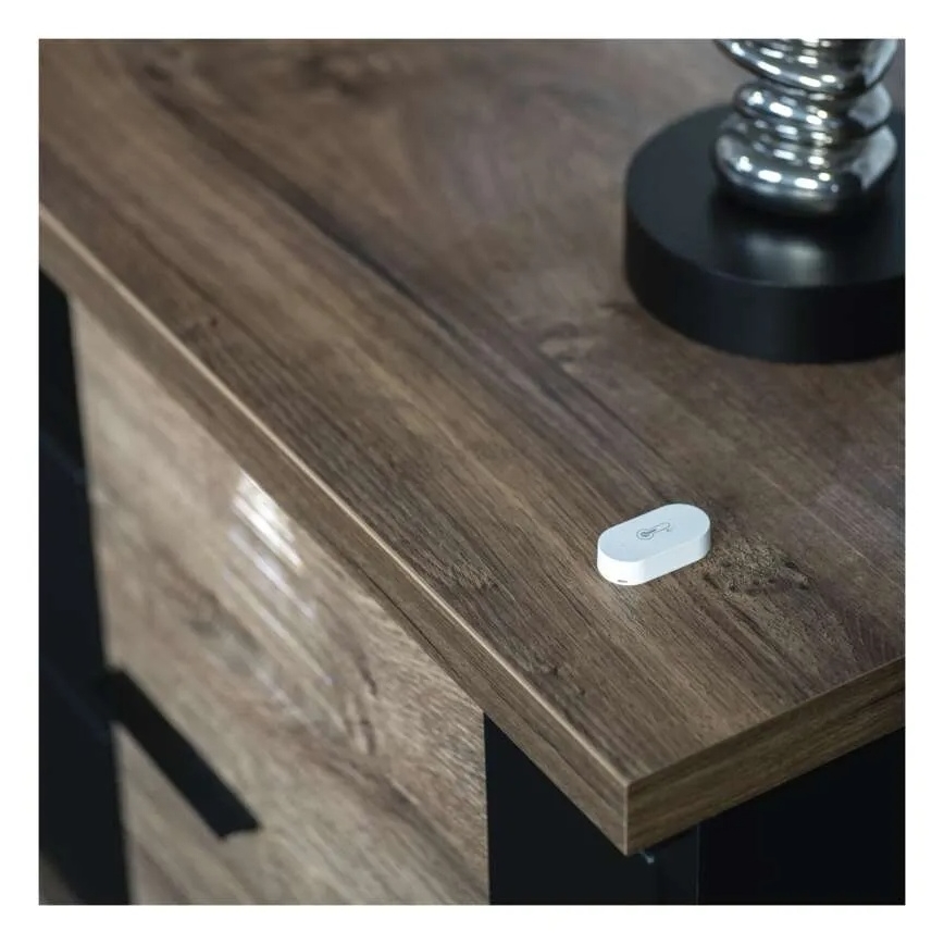 Termómetro digital sem fios GoSmart 1×CR2032