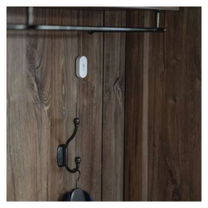 Termómetro digital sem fios GoSmart 1×CR2032