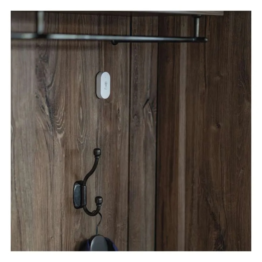 Termómetro digital sem fios GoSmart 1×CR2032