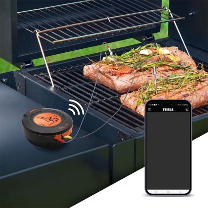 TESLA Electronics Cook - Termómetro digital para carne con sonda 0-400 °C 2xAA IP65