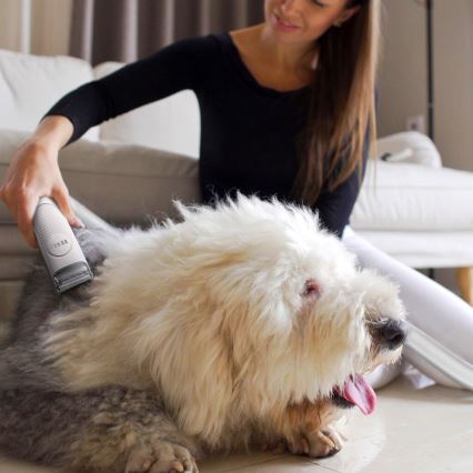 TESLA Electronics PetCare - Kit de limpeza para animais de estimação 300W/230V