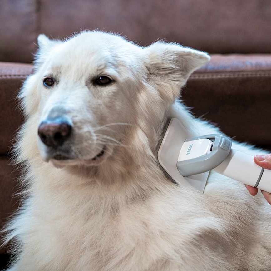 TESLA Electronics PetCare - Kit de limpeza para animais de estimação 300W/230V