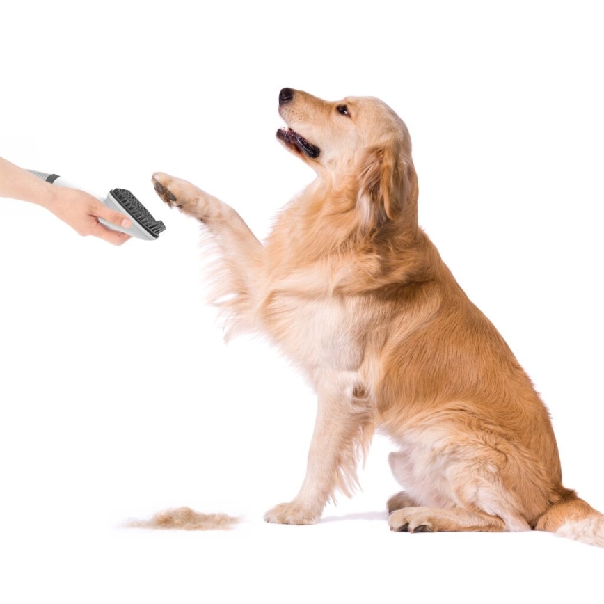 TESLA Electronics PetCare - Kit de limpeza para animais de estimação 300W/230V