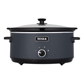 TESLA Electronics SlowCook - Panela de cozedura lenta 6,5 l 270W/230V