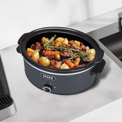 TESLA Electronics SlowCook - Panela de cozedura lenta 6,5 l 270W/230V