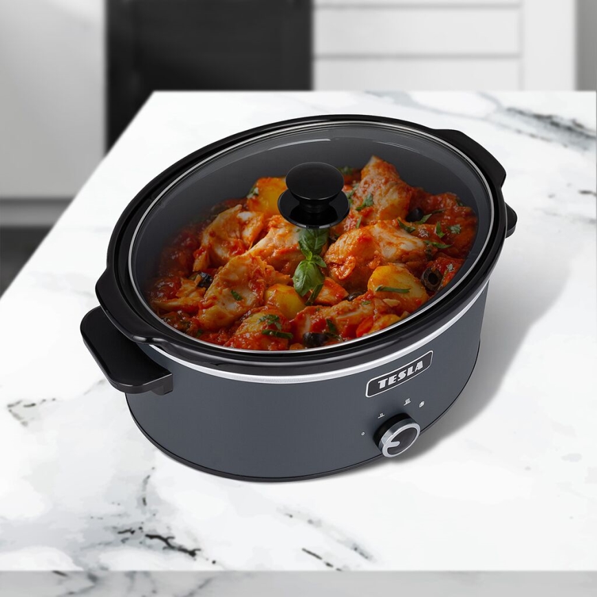 TESLA Electronics SlowCook - Panela de cozedura lenta 6,5 l 270W/230V