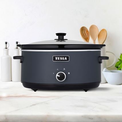 TESLA Electronics SlowCook - Panela de cozedura lenta 6,5 l 270W/230V