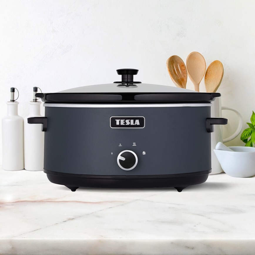 TESLA Electronics SlowCook - Panela de cozedura lenta 6,5 l 270W/230V