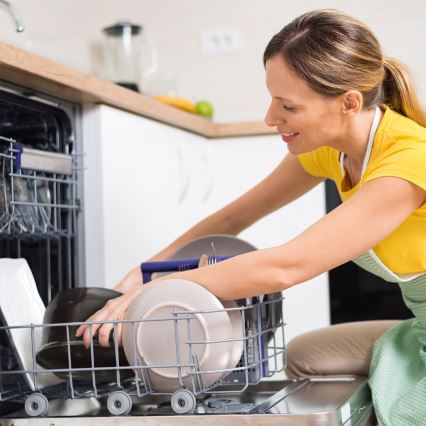 TESLA Electronics SlowCook - Panela de cozedura lenta 6,5 l 270W/230V