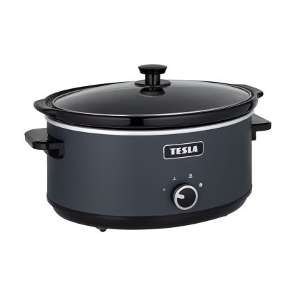 TESLA Electronics SlowCook - Panela de cozedura lenta 6,5 l 270W/230V
