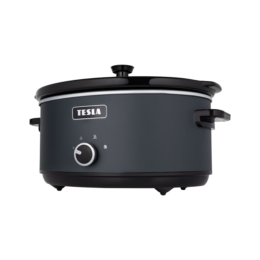 TESLA Electronics SlowCook - Panela de cozedura lenta 6,5 l 270W/230V