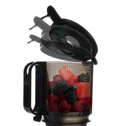 TESLA Electronics SlowJuicer Deluxe - Espremedor de baixa velocidade 250W/230V aço inoxidável/preto