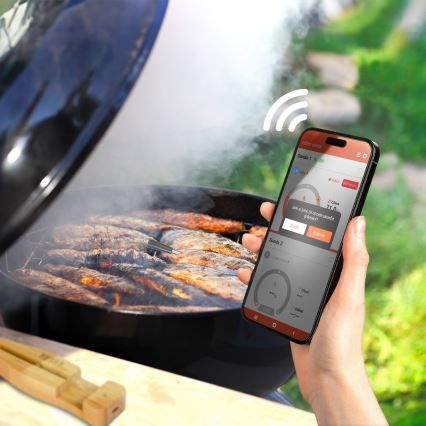 TESLA Electronics- Termómetro de carne inteligente com suporte de carregamento 0-300 °C 5V IP67