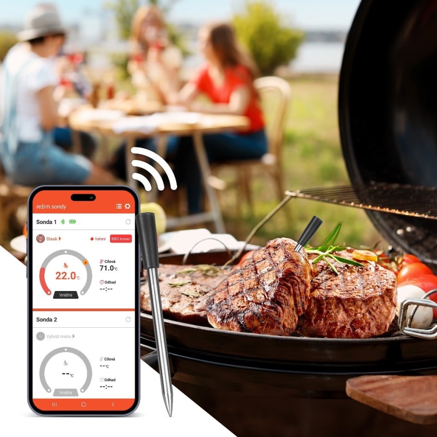 TESLA Electronics- Termómetro de carne inteligente com suporte de carregamento 0-300 °C 5V IP67