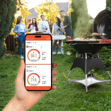 TESLA Electronics- Termómetro de carne inteligente com suporte de carregamento 0-300 °C 5V IP67