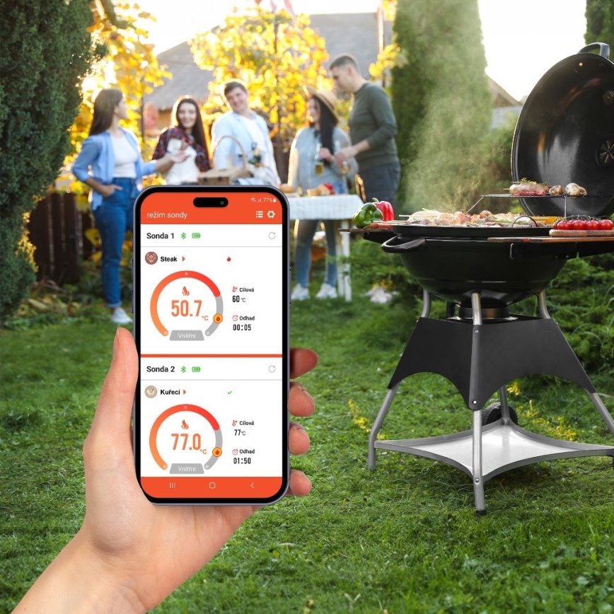 TESLA Electronics- Termómetro de carne inteligente com suporte de carregamento 0-300 °C 5V IP67
