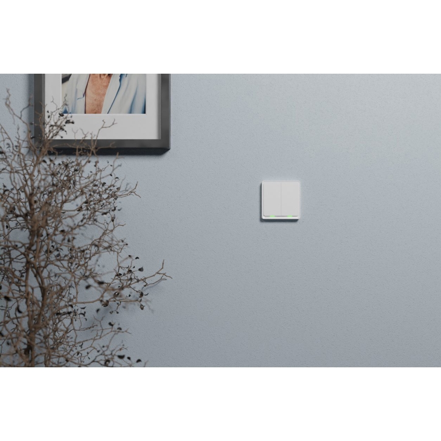 TESLA Smart - Interruptor doméstico inteligente 2P 230V Zigbee