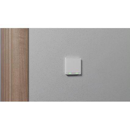 TESLA Smart - Interruptor doméstico inteligente 2P 230V Zigbee