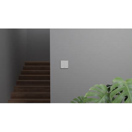 TESLA Smart - Interruptor doméstico inteligente 2P 230V Zigbee