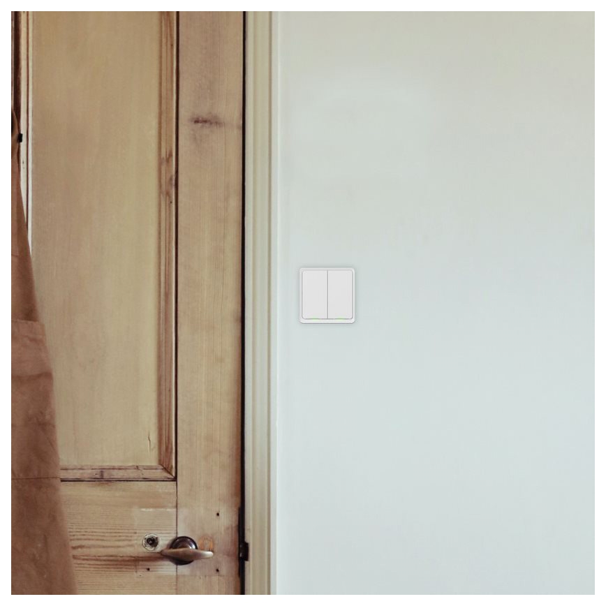 TESLA Smart - Interruptor inteligente doméstico 2P 230V Wi-Fi