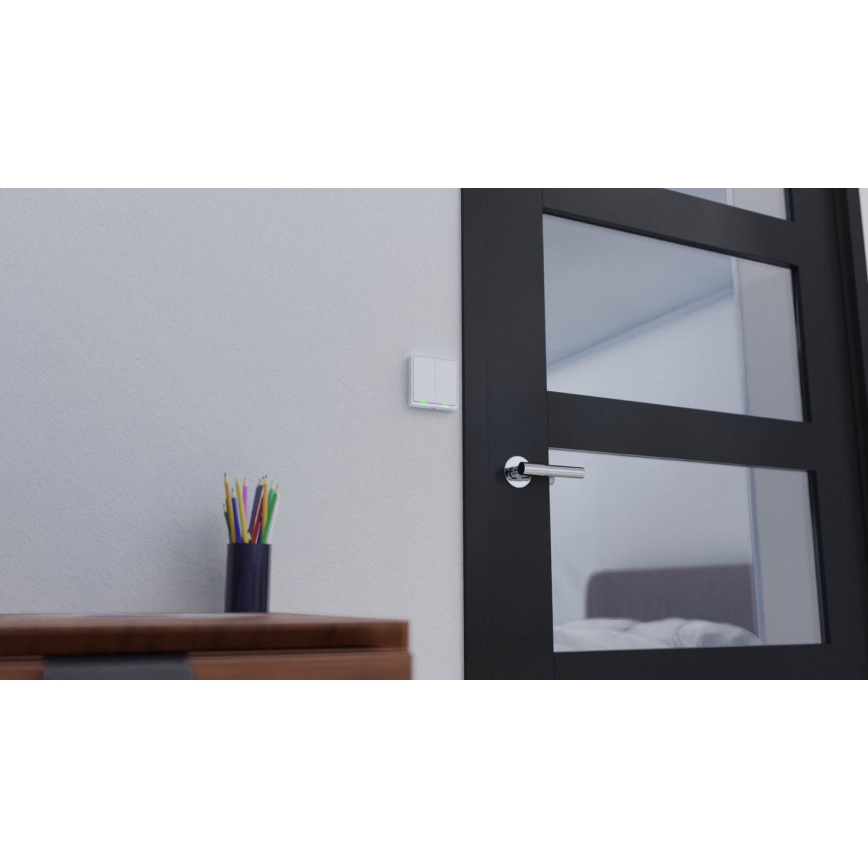 TESLA Smart - Interruptor inteligente doméstico 2P 230V Wi-Fi