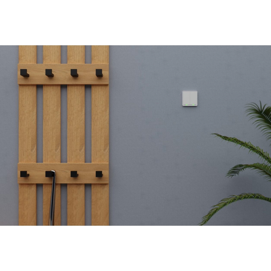 TESLA Smart - Interruptor inteligente doméstico 2P 230V Wi-Fi