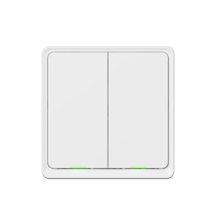 TESLA Smart - Interruptor inteligente doméstico 2P 230V Wi-Fi