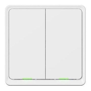 TESLA Smart - Interruptor inteligente doméstico 2P 230V Wi-Fi