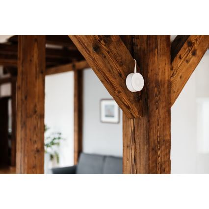 TESLA Smart - Sirene inteligente 12V Zigbee