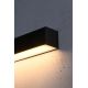 Thoro TH.054 - Luz de parede LED PINNE LED/31W/230V
