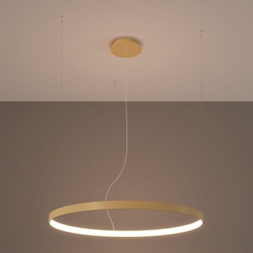 Thoro TH.174 - Candeeiro suspenso LED RIO LED/50W/230V CRI 90 3000K diâmetro 78 cm dourado