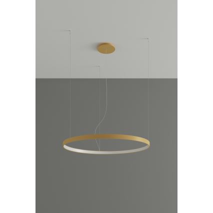 Thoro TH.174 - Candeeiro suspenso LED RIO LED/50W/230V CRI 90 3000K diâmetro 78 cm dourado