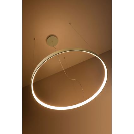 Thoro TH.174 - Candeeiro suspenso LED RIO LED/50W/230V CRI 90 3000K diâmetro 78 cm dourado