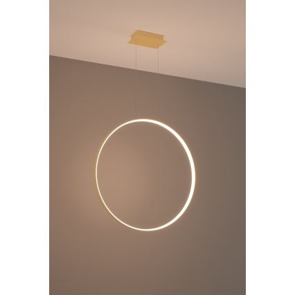 Thoro TH.175 - Candeeiro suspenso LED RIO LED/50W/230V CRI 90 3000K diâmetro 78 cm dourado