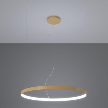 Thoro TH.181 - Candeeiro suspenso LED  RIO LED /50W/230V CRI 95 4000K diâmetro 78 cm dourado