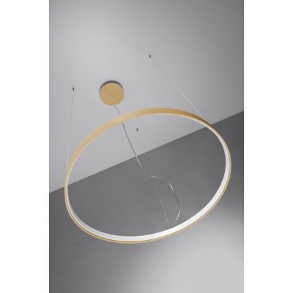 Thoro TH.181 - Candeeiro suspenso LED  RIO LED /50W/230V CRI 95 4000K diâmetro 78 cm dourado