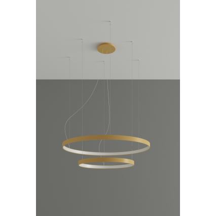 Thoro TH.214 - Candeeiro suspenso LED RIO LED/80W/230V CRI 90 3000K dourado