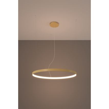 Thoro TH.216 - Candeeiro suspenso LED RIO LED/30W/230V CRI 90 3000K diâmetro 55 cm dourado