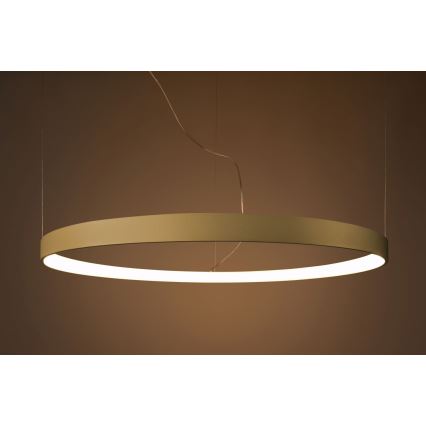 Thoro TH.216 - Candeeiro suspenso LED RIO LED/30W/230V CRI 90 3000K diâmetro 55 cm dourado
