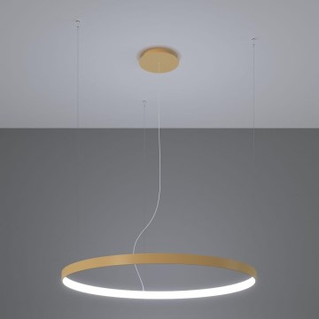 Thoro TH.217 - Candeeiro suspenso LED RIO LED/30W/230V CRI 95 4000K diâmetro 55 cm dourado