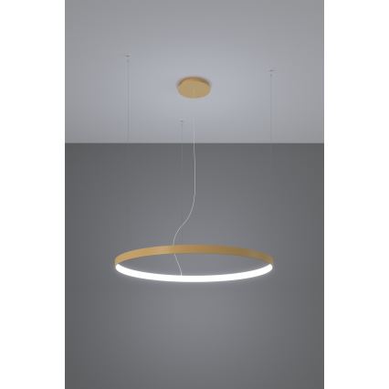 Thoro TH.217 - Candeeiro suspenso LED RIO LED/30W/230V CRI 95 4000K diâmetro 55 cm dourado