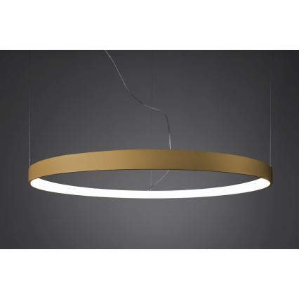 Thoro TH.217 - Candeeiro suspenso LED RIO LED/30W/230V CRI 95 4000K diâmetro 55 cm dourado