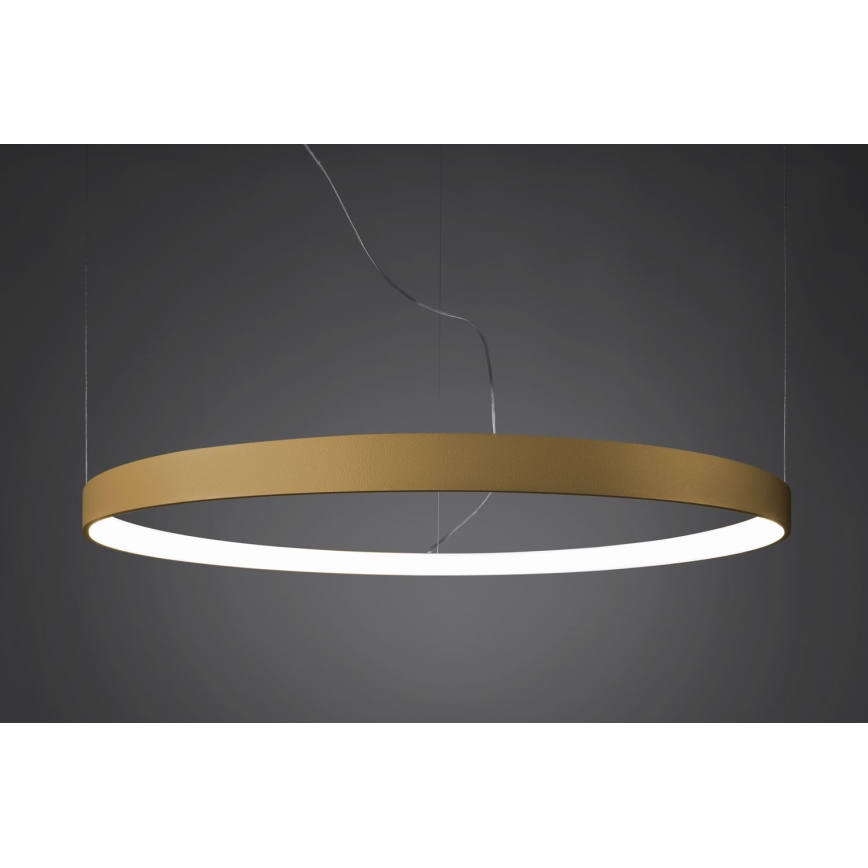 Thoro TH.217 - Candeeiro suspenso LED RIO LED/30W/230V CRI 95 4000K diâmetro 55 cm dourado