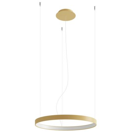 Thoro TH.217 - Candeeiro suspenso LED RIO LED/30W/230V CRI 95 4000K diâmetro 55 cm dourado